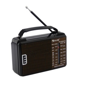 Nunc congue dui nec...